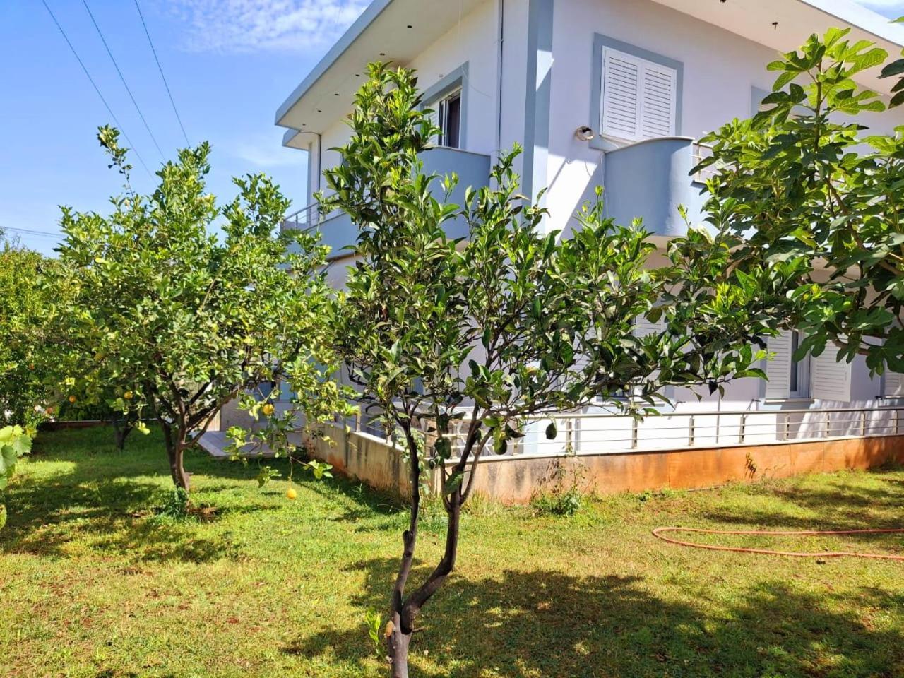 Myksamil Apartments Kamer foto