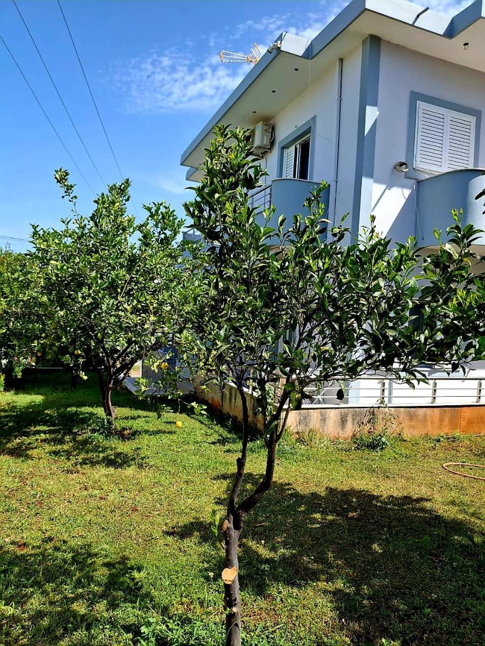 Myksamil Apartments Buitenkant foto
