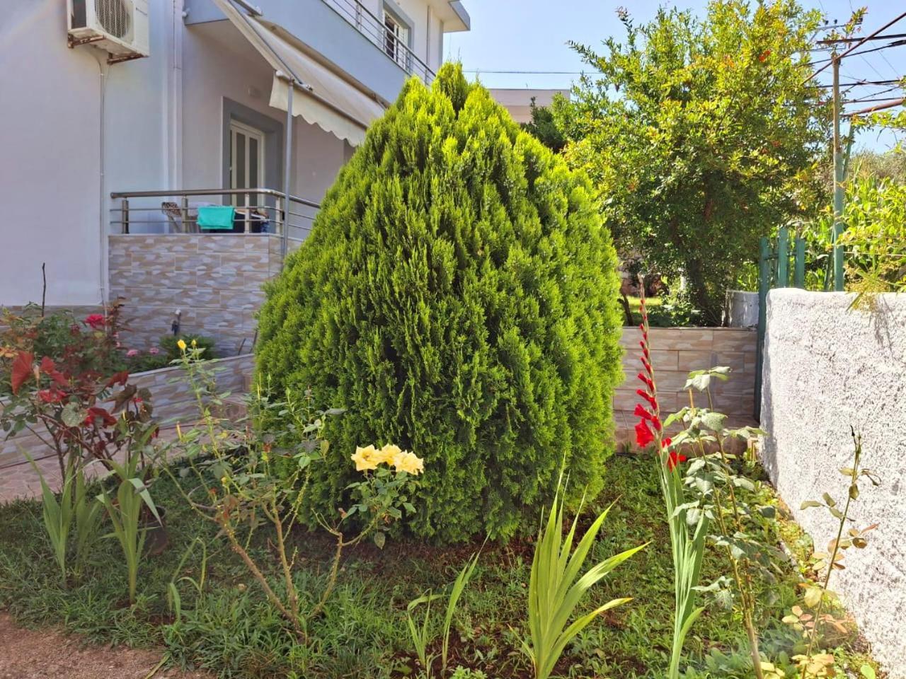 Myksamil Apartments Buitenkant foto